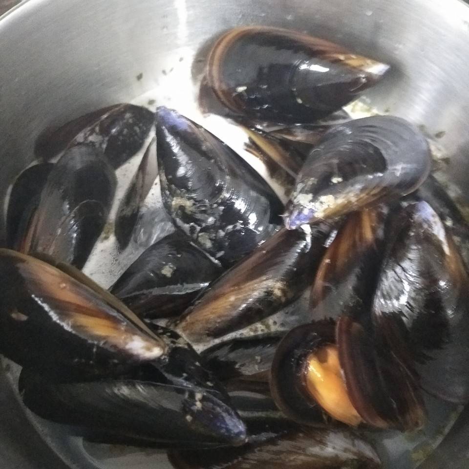 Gelatina de mejillones Gelatina de mejillones