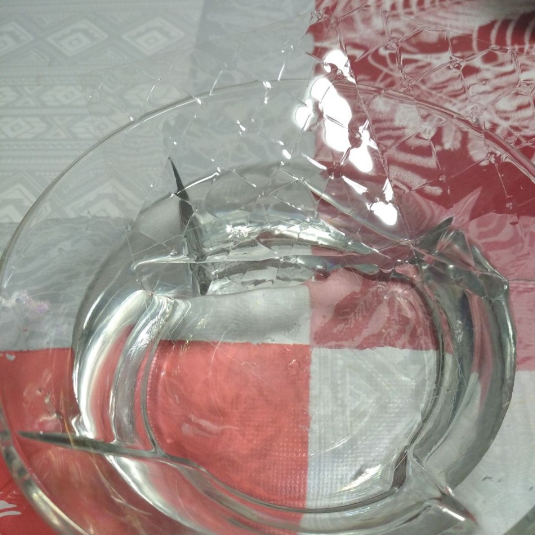 Gelatina de mejillones Paso 0 Gelatina de mejillones Paso 0