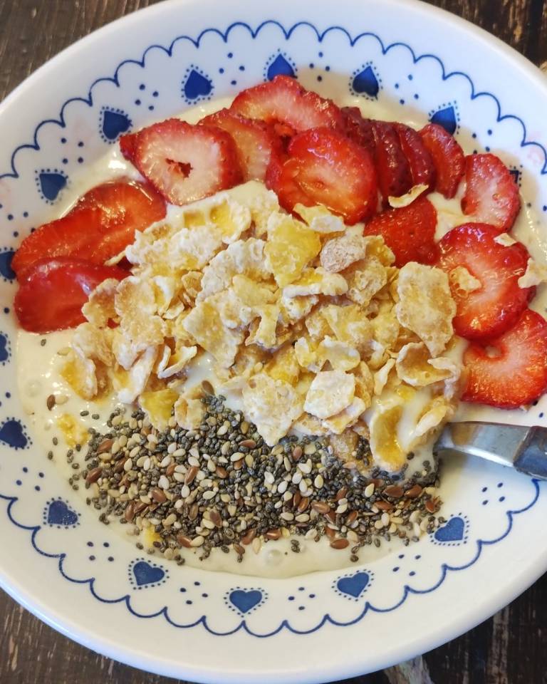 Yogurt casero Yogurt casero