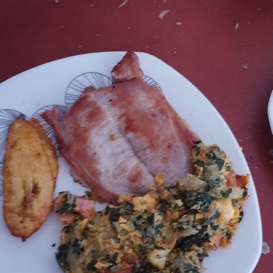 Almuerzo día 1 Almuerzo día 1