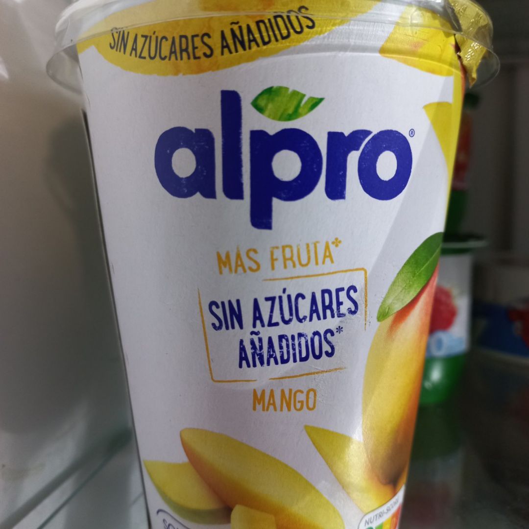 Yogurt de mango con platano, muesly, arándanos rojos y pepitas de chocolate Paso 0 Yogurt de mango con platano, muesly, arándanos rojos y pepitas de chocolate Paso 0