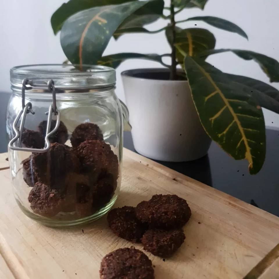 Galletas de higos con avena
