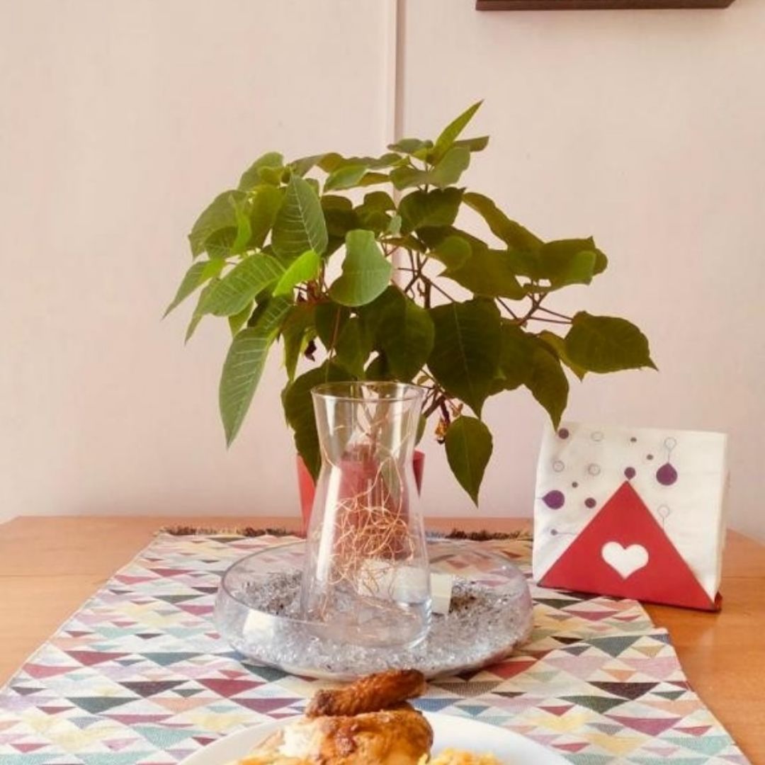 Pechuga de pavo al horno con arroz chino Pechuga de pavo al horno con arroz chino