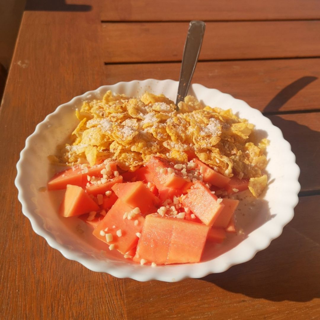 Bowl de yogurt y corn flakes Bowl de yogurt y corn flakes