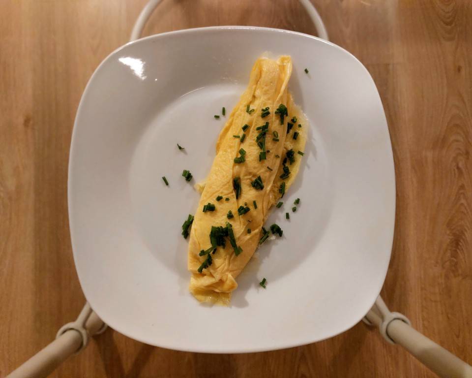 Tortilla The Bear Tortilla The Bear