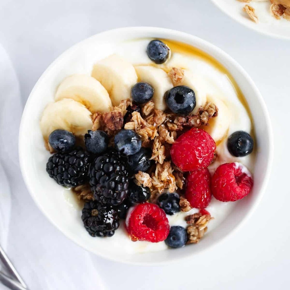 yogurt bowl yogurt bowl