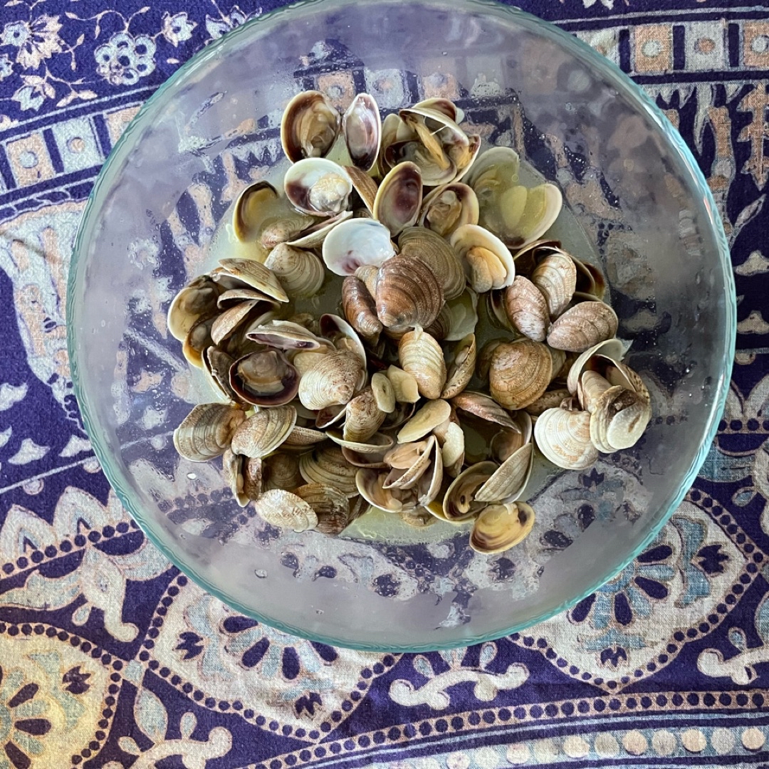 Almejas al ajillo con vino blanco Almejas al ajillo con vino blanco