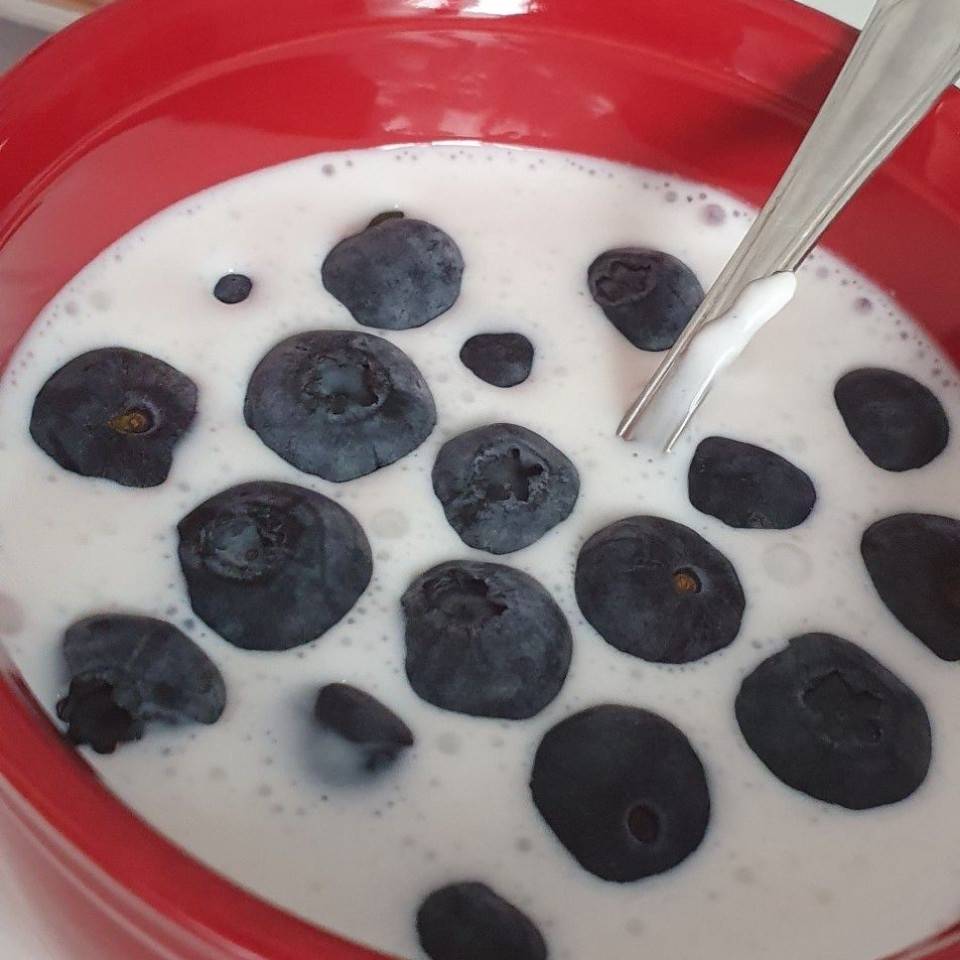Kefir con arándanos Kefir con arándanos