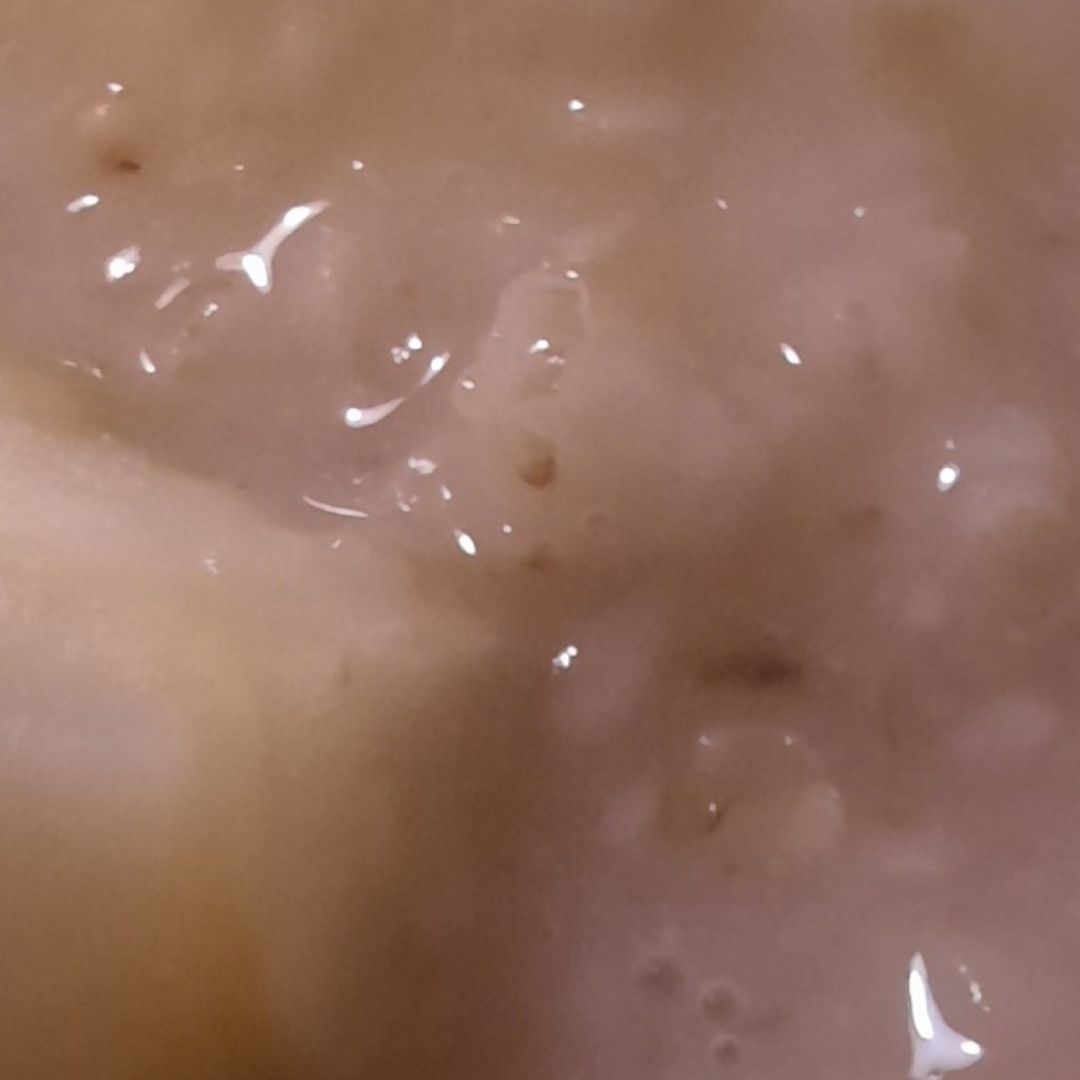 Avena básica con crema de cacahuete Avena básica con crema de cacahuete
