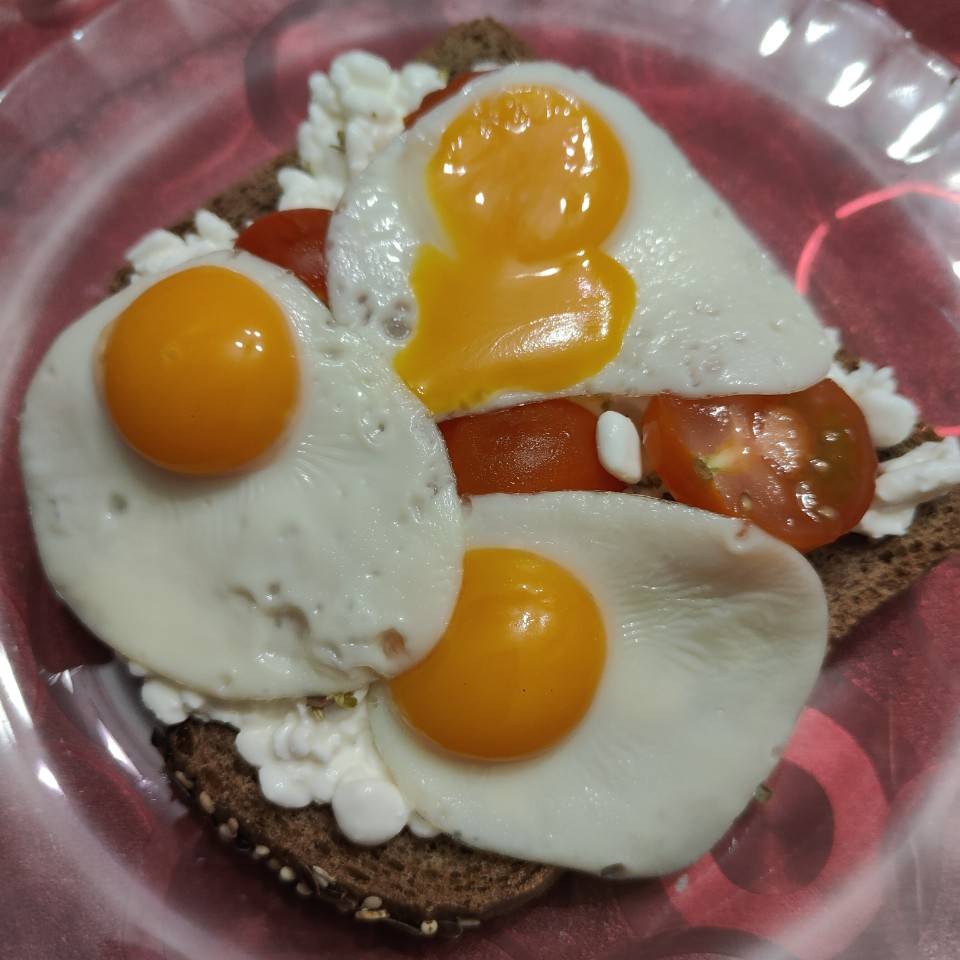 Tostada integral de queso, cherrys y huevitos Tostada integral de queso, cherrys y huevitos