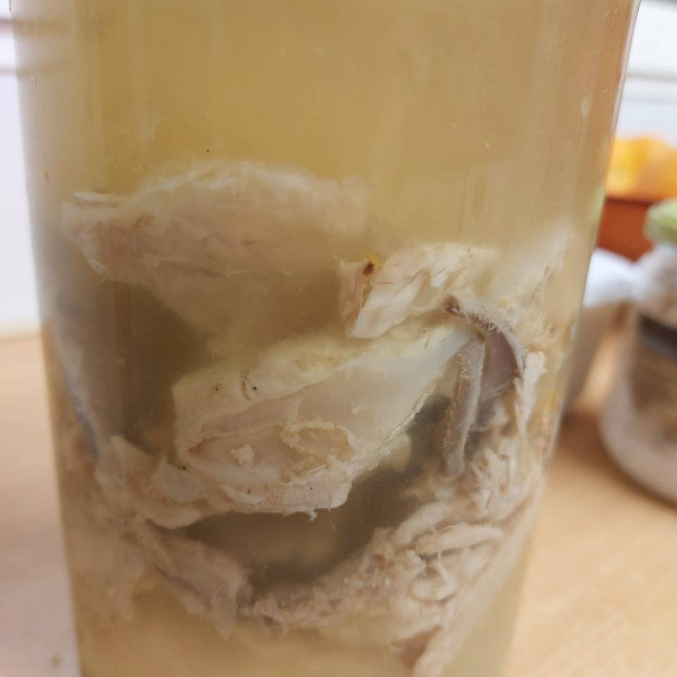Caldo de pollo y verduras 