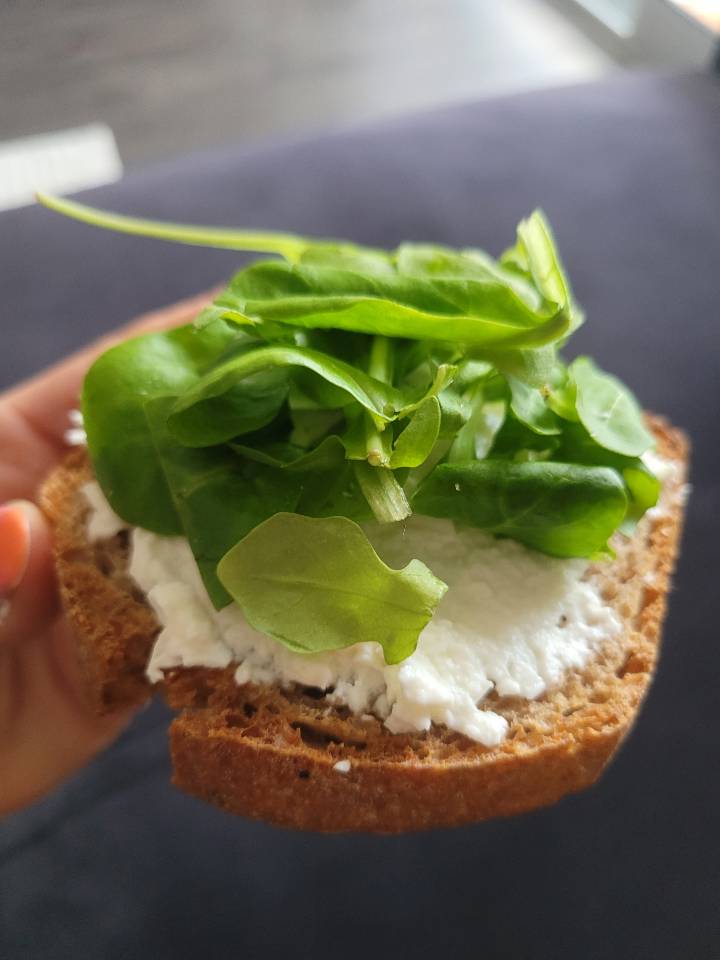 Tostadas queso y  rucula 