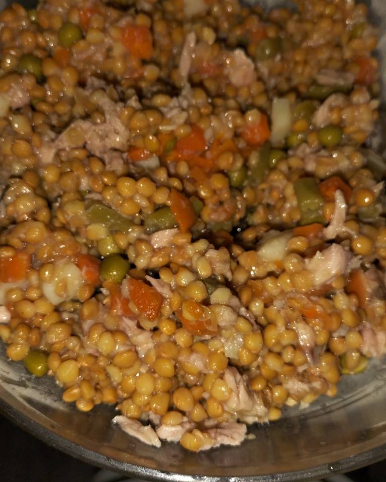 Ensalada de lentejas con verduras Ensalada de lentejas con verduras