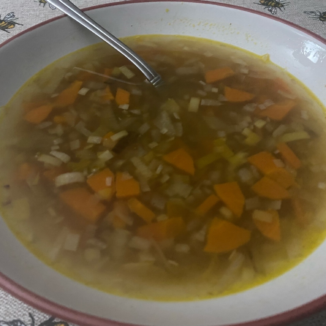 Sopa de cebolla y puerro Sopa de cebolla y puerro