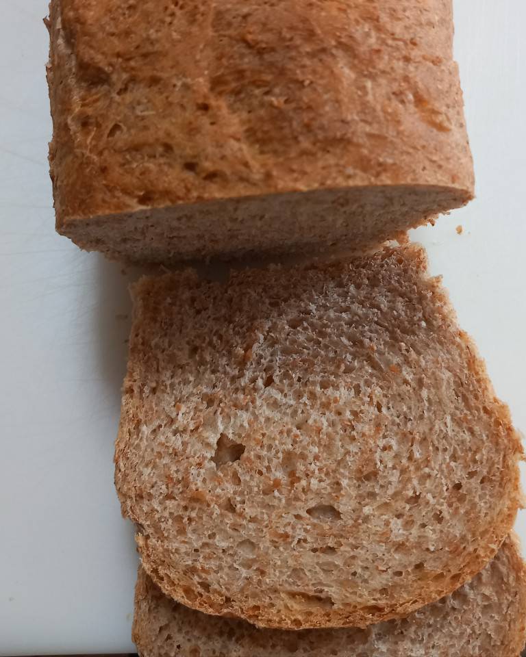 Pan integral casero