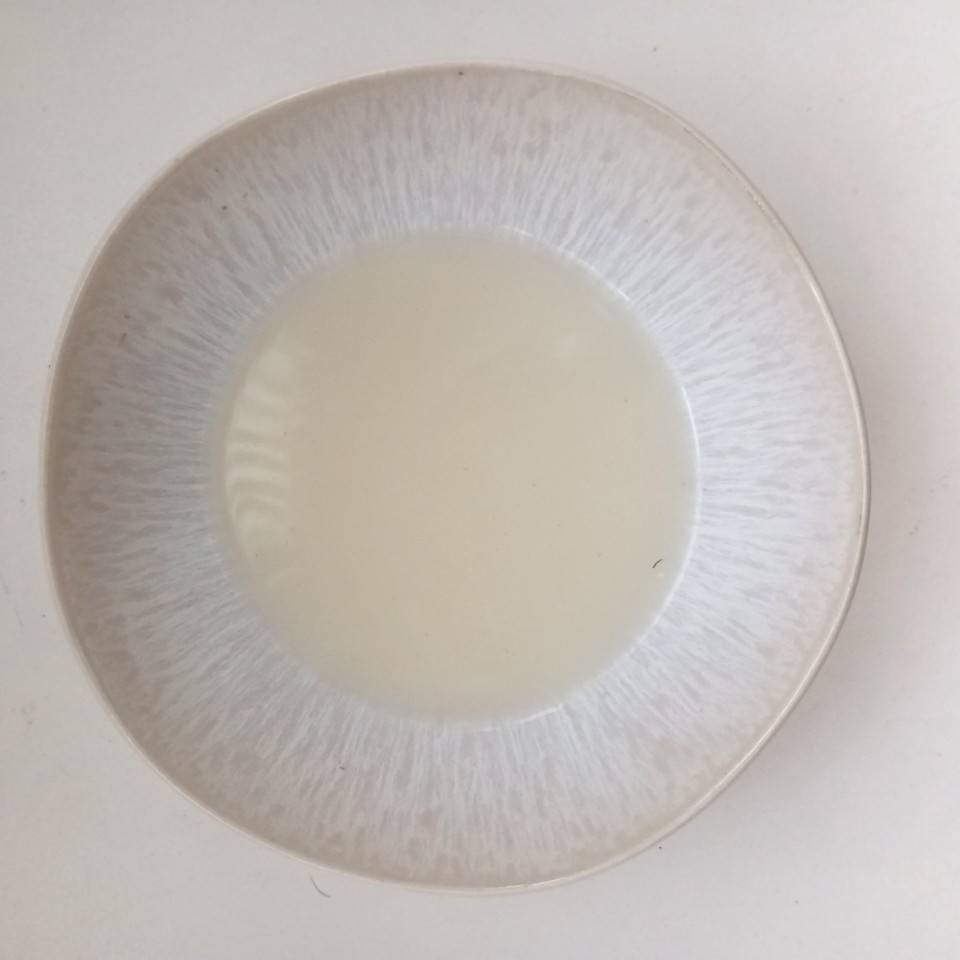 Bebida vegetal 🥛 casera Bebida vegetal 🥛 casera