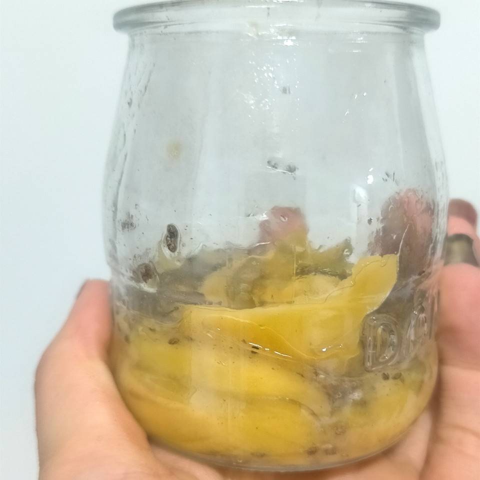 Pudding de chía y mango 🥭