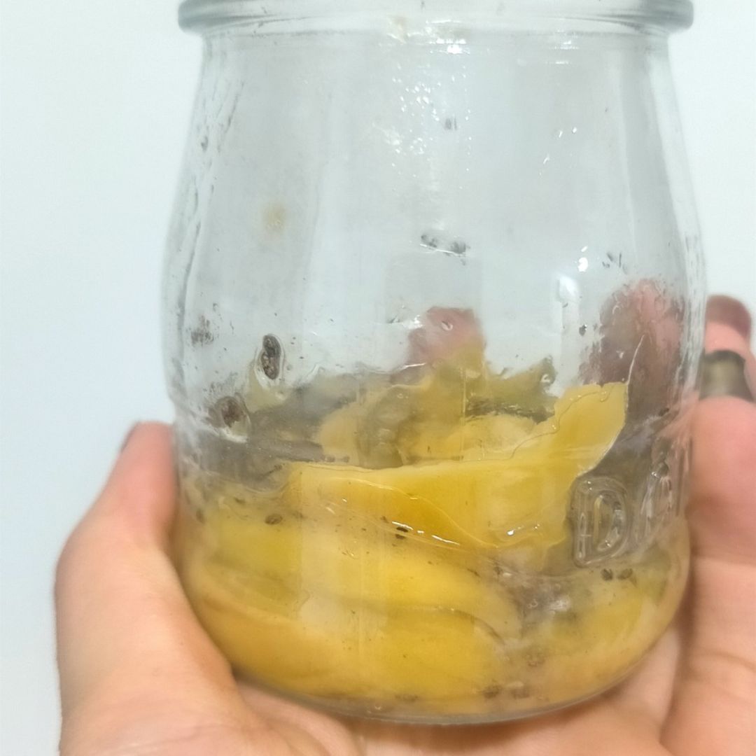 Pudding de chía y mango 🥭 Paso 2 Pudding de chía y mango 🥭 Paso 2