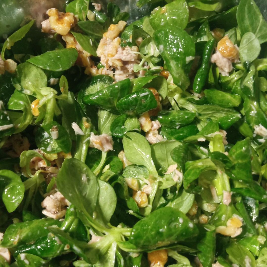 Ensalada de canónigos, atún y nueces Ensalada de canónigos, atún y nueces