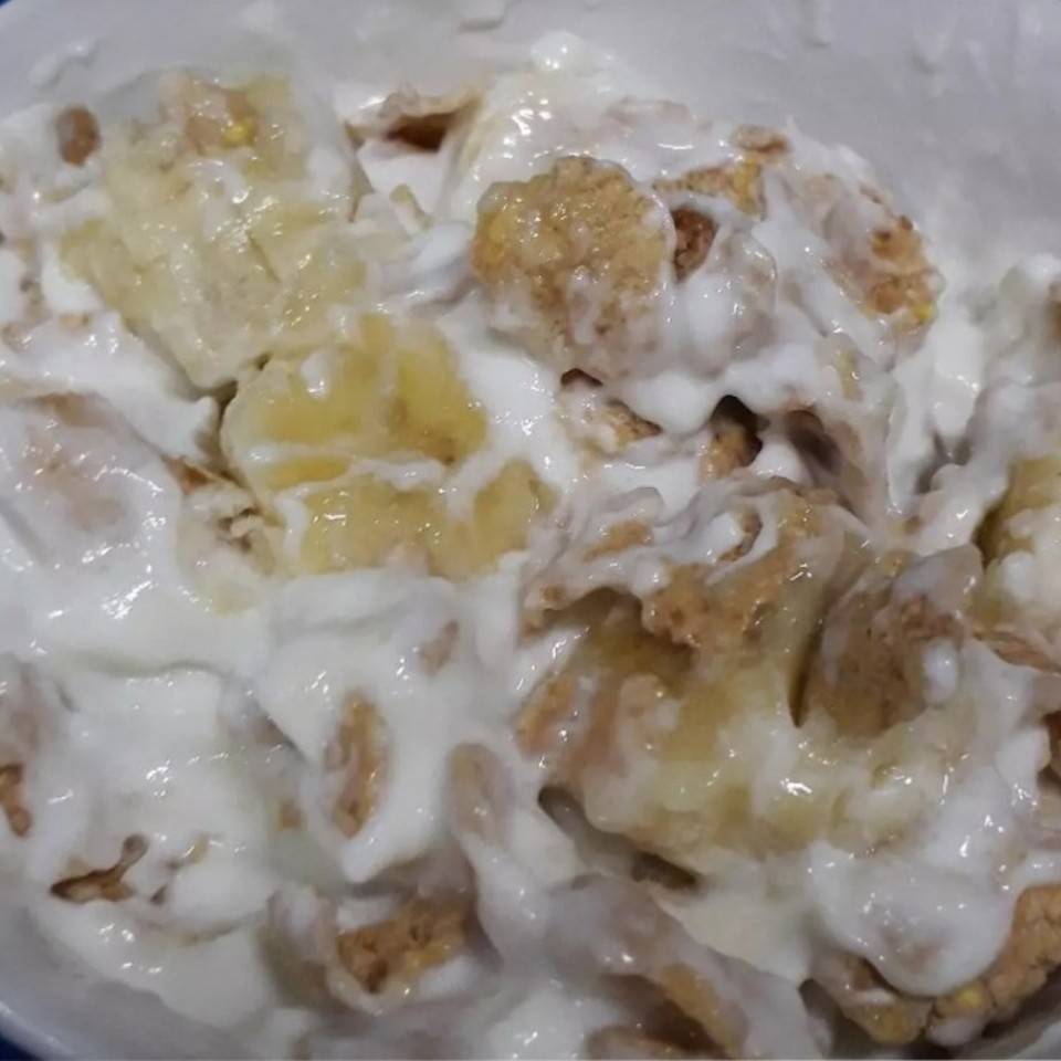 Yogur con fruta y cereales Yogur con fruta y cereales