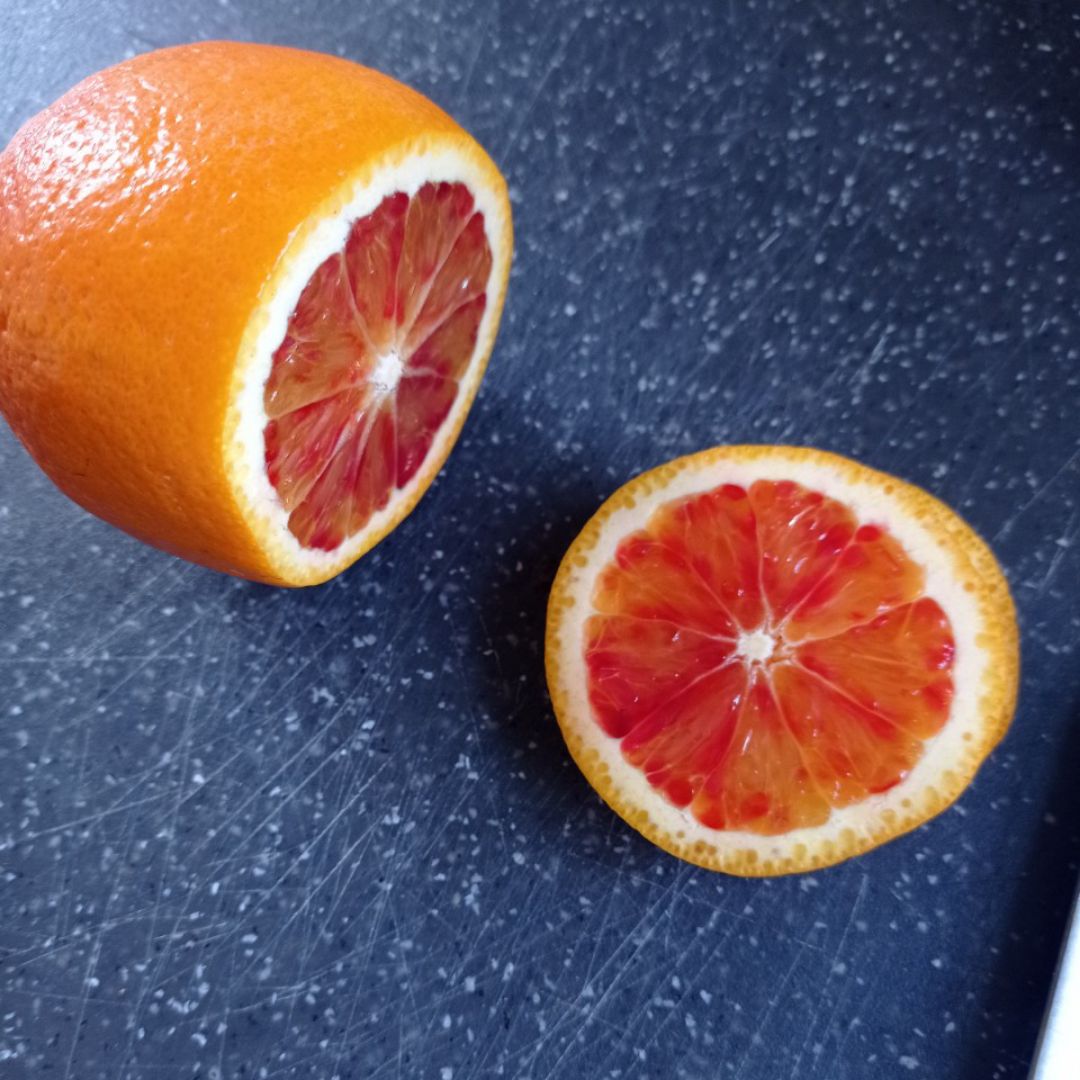 Bizcocho cebra 🦓 de mandarina 🍊 y zanahoria 🥕 con algarroba Paso 7 Bizcocho cebra 🦓 de mandarina 🍊 y zanahoria 🥕 con algarroba Paso 7