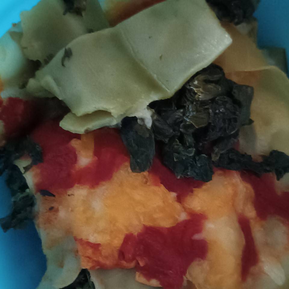 Canelones de espinacas Canelones de espinacas