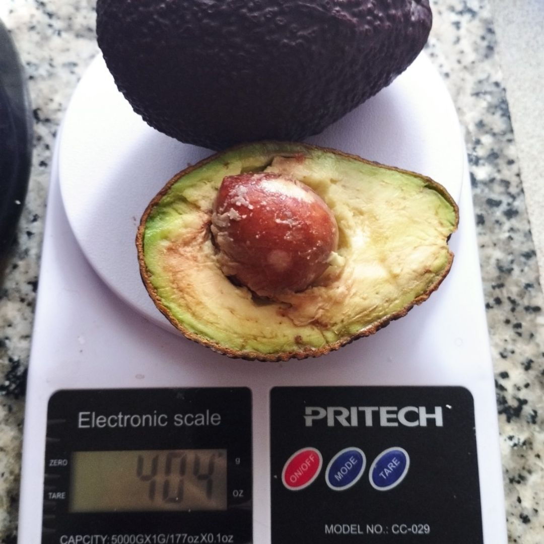 🍽️ Ñoquis con pechuga en salsa de espinacas y aguacates🥑 Paso 0