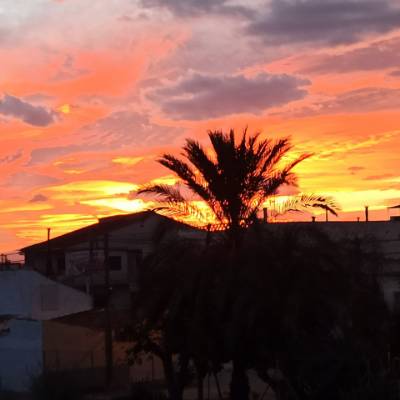 alba_.92
