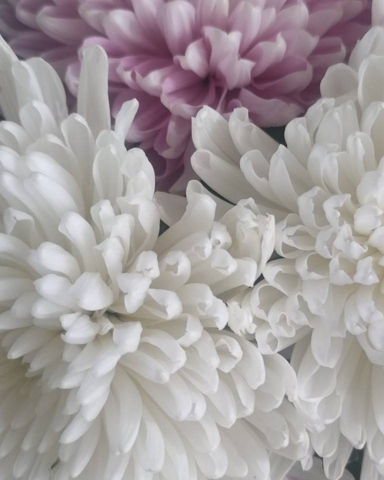 florfdez7