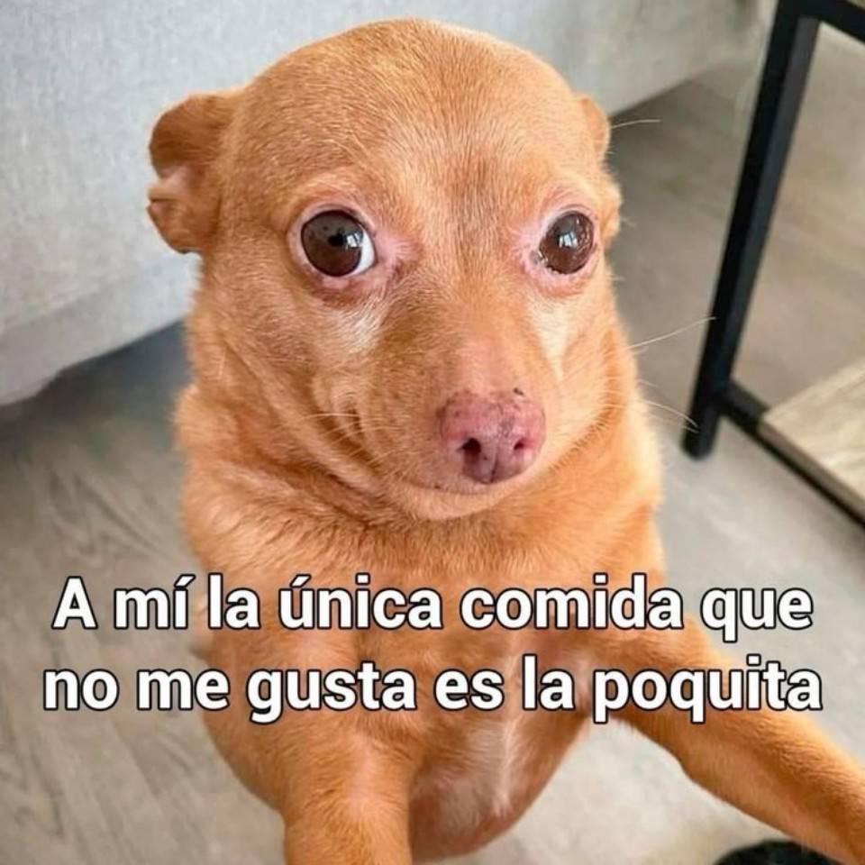 opositoratm