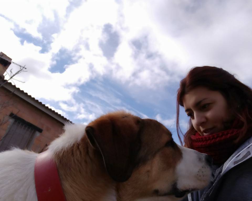 andriuandriu
