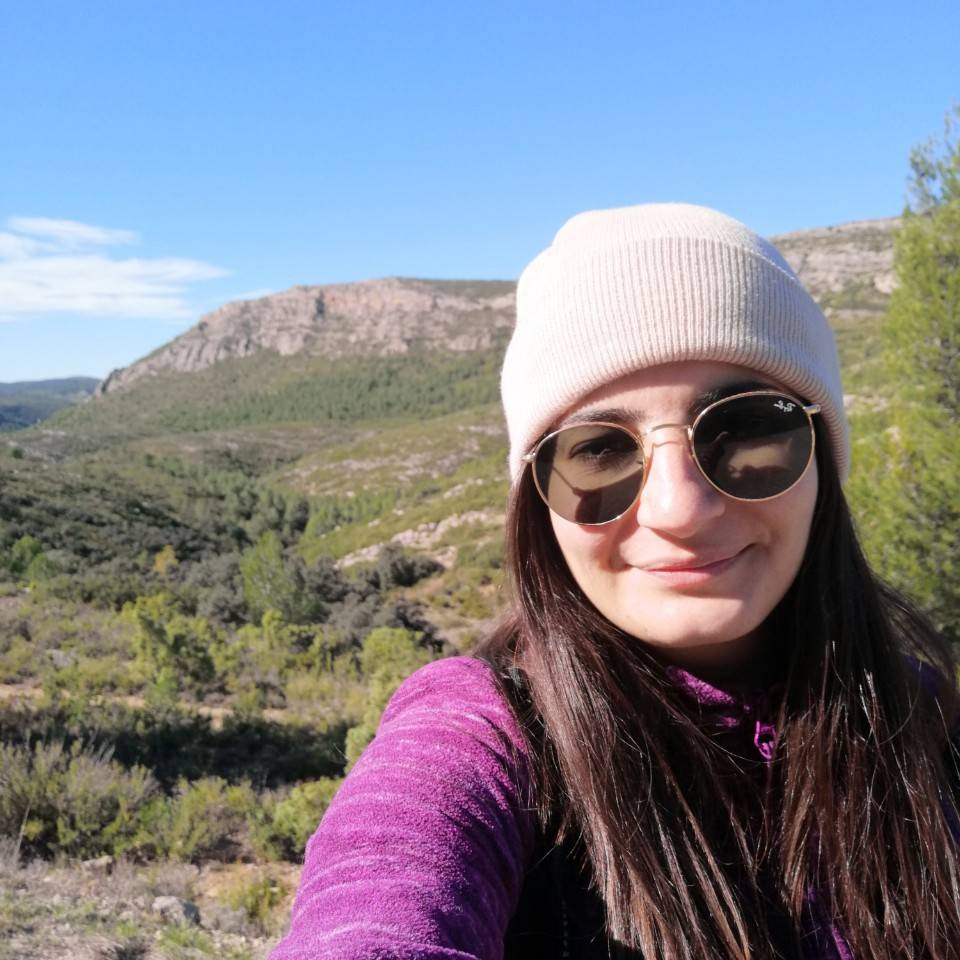 Elenainav