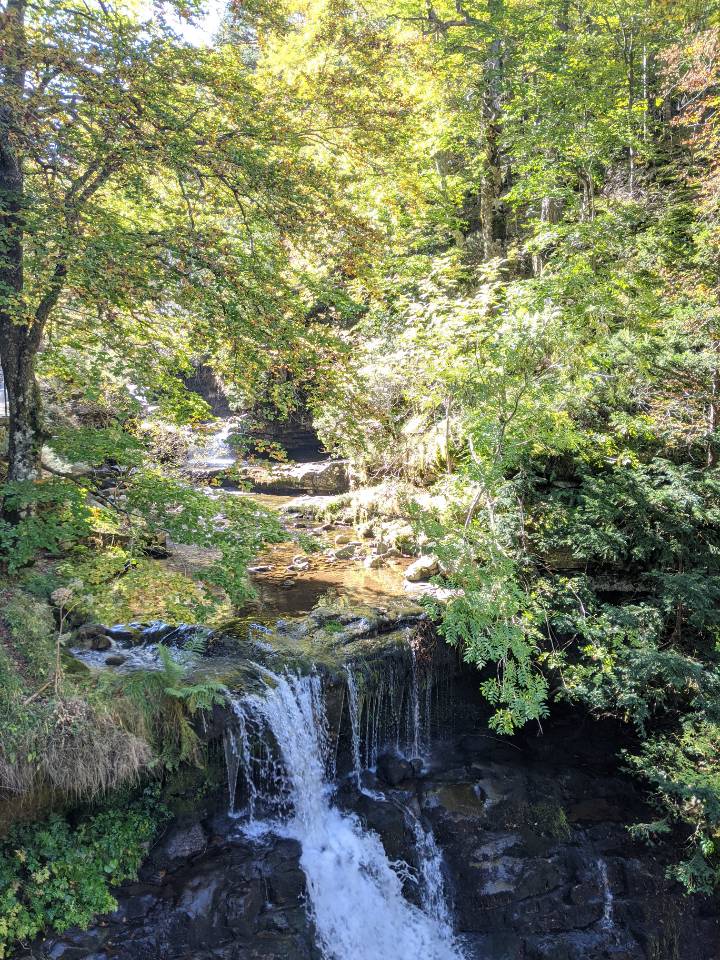 Helthyheidi