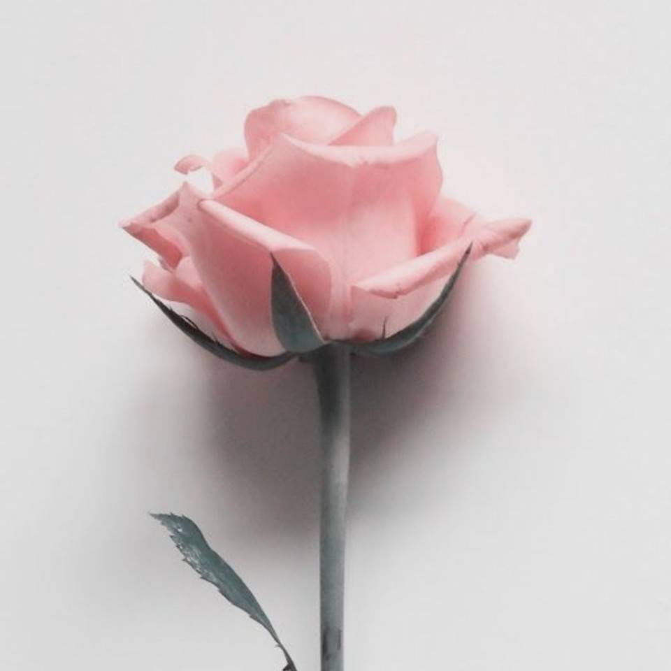 PinkRose