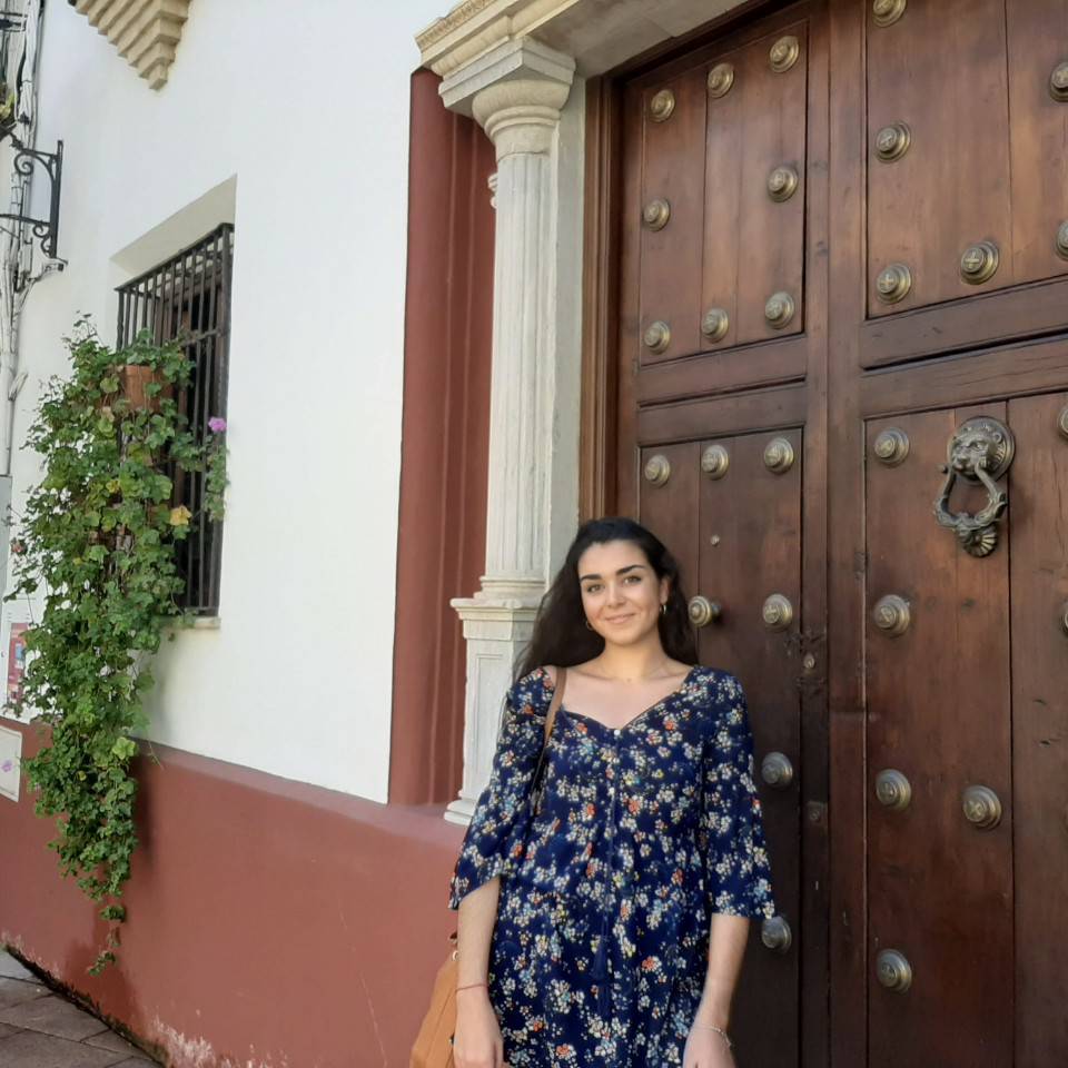 Lauraalmelaa